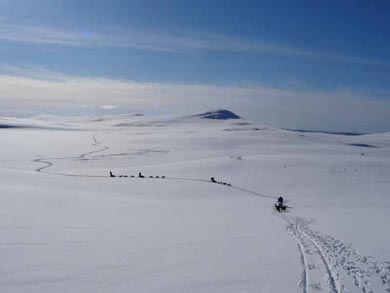 Wilderness Dogsled Adventure in Vindelfj&auml;llen | Photo: PK