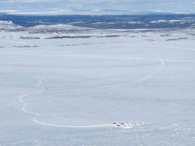 Wilderness Dogsled Adventure in Vindelfj&auml;llen | Photo: PK