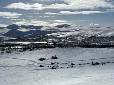 Wilderness Dogsled Adventure in Vindelfj&auml;llen | Photo: Chris Bryce