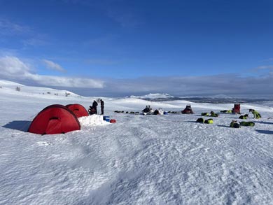 Wilderness Dogsled Adventure in Vindelfj&auml;llen | Photo: Chris Bryce