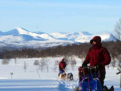 Wilderness Dogsled Adventure in Vindelfj&auml;llen | Photo: Heike Oberg