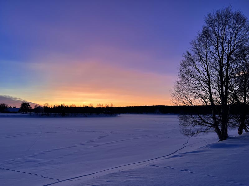 Lapland winter light | Photo: John Sherman