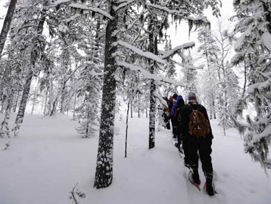 Snowshoeing in the winter forest | Photo: RMd