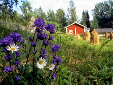 Canoe or Kayak in Linnansaari and Kolovesi National Park | Photo: SEO