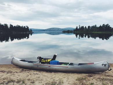 Discover Wilderness Canoeing in Rogen | Photo: Tine Poppe