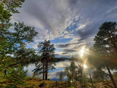 Discover Wilderness Canoeing in Rogen | Photo: Tine Poppe