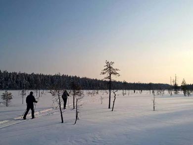 Cross Country Skiing in Hossa and Kalevala | Photo: UT