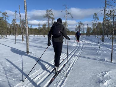 Northern Lights during the tour | Photo: Anthony Hammock