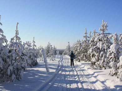 Cross Country Skiing in Hossa and Kalevala | Photo: UT
