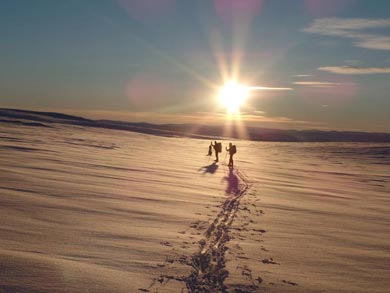 Backcountry Skiing and Northern Lights in Finnish Lapland (Halti) | Photo: Remko Jonkergouw